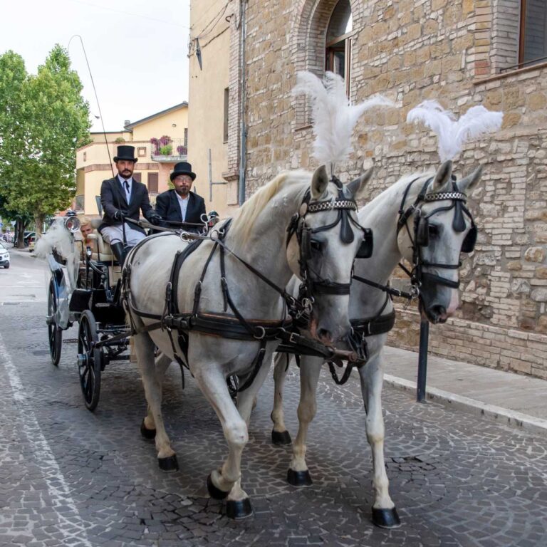 il-vetturino-assisi-giri-in-carrozza